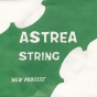 Astrea Violin String SET - 1/8-1/16 size