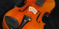 Anatomy of the Violin