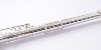 Trevor James 10X Flute - The world's best 'first' flute just got better